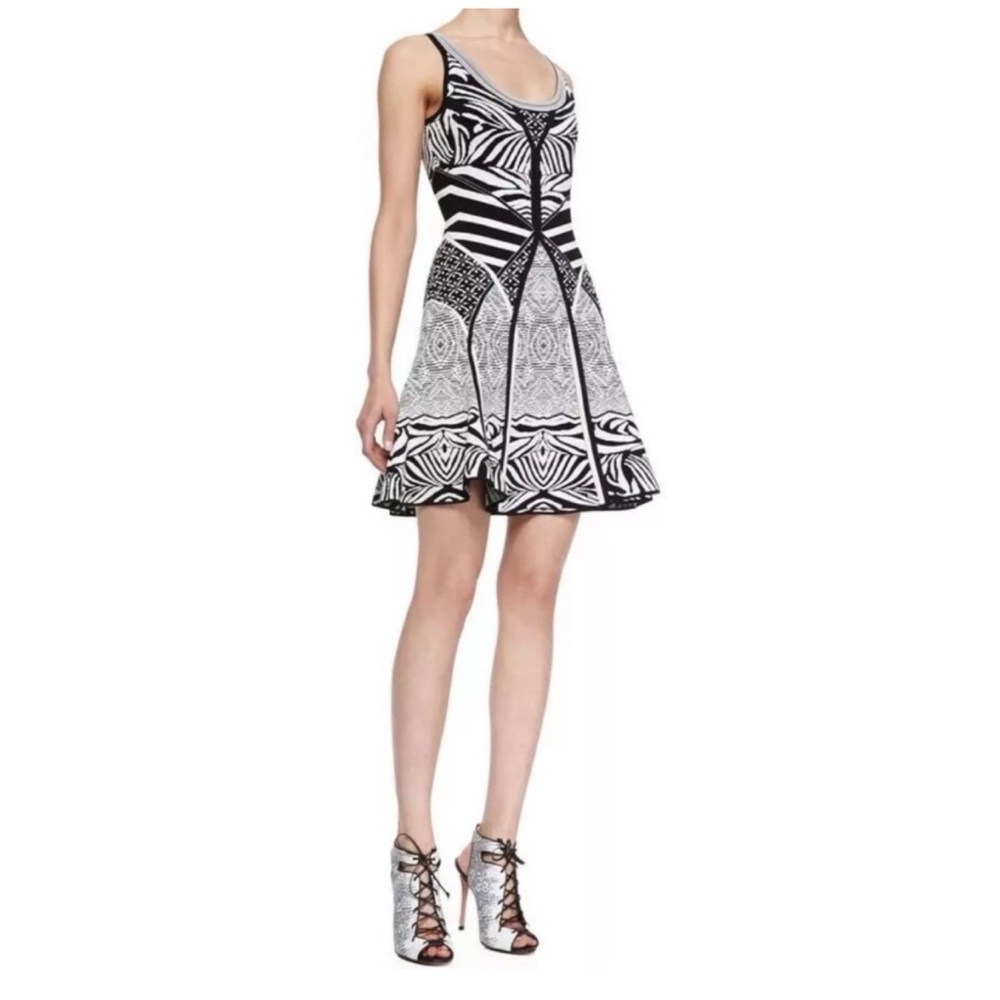 DIANE VON FURSTENBERG Fanny Zebra Tattoo Dress | M